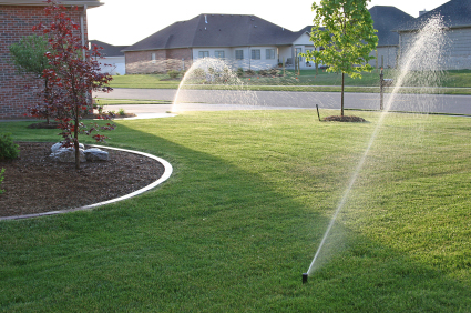 Watering Lawn